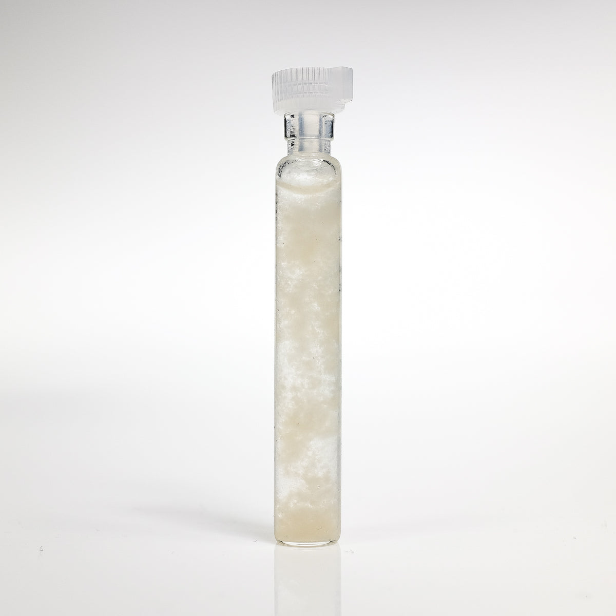 GANS CO2-P
