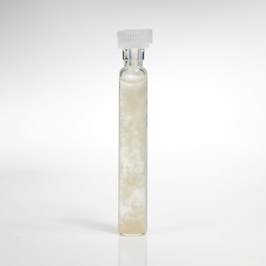 GANS CO2-P