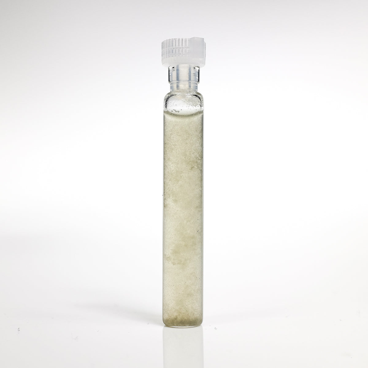 GANS Chlorofil