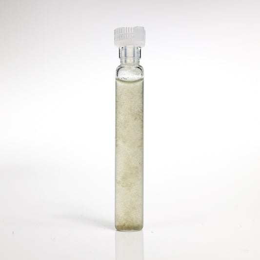 GANS Chlorofil