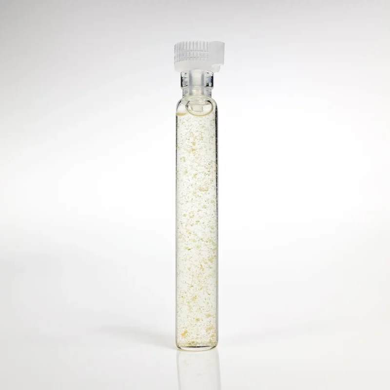 Brzoza liść i pączki GANS