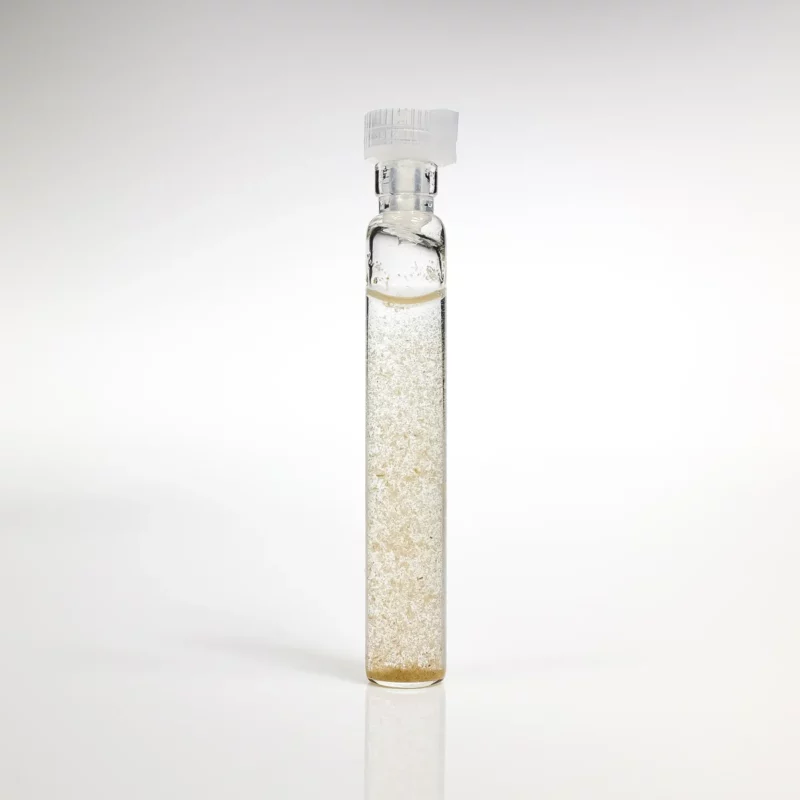 Miłorząb Japoński GANS