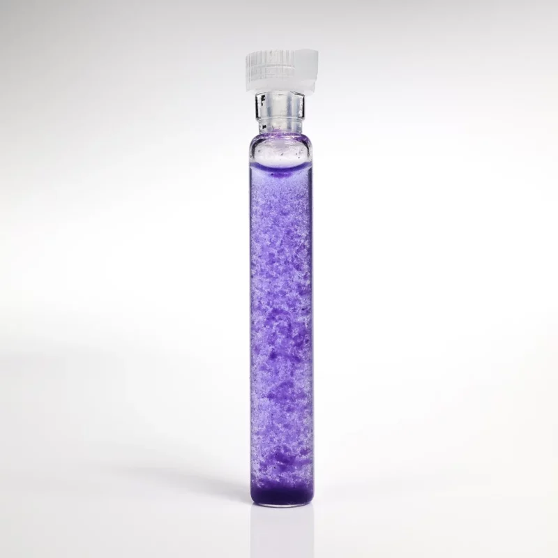 Smerf (Błękit Metylenowy) GANS