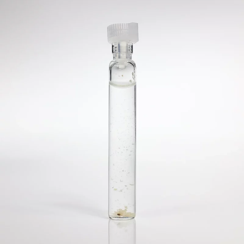 Szczeć Barwierska GANS