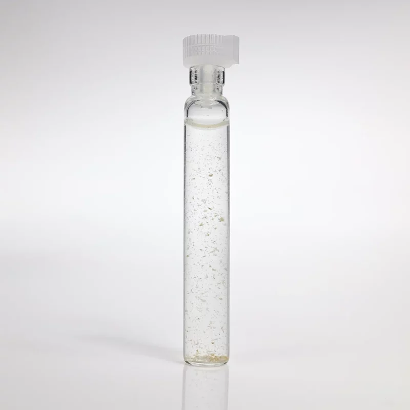 Żeń-Szeń Syberyjski GANS