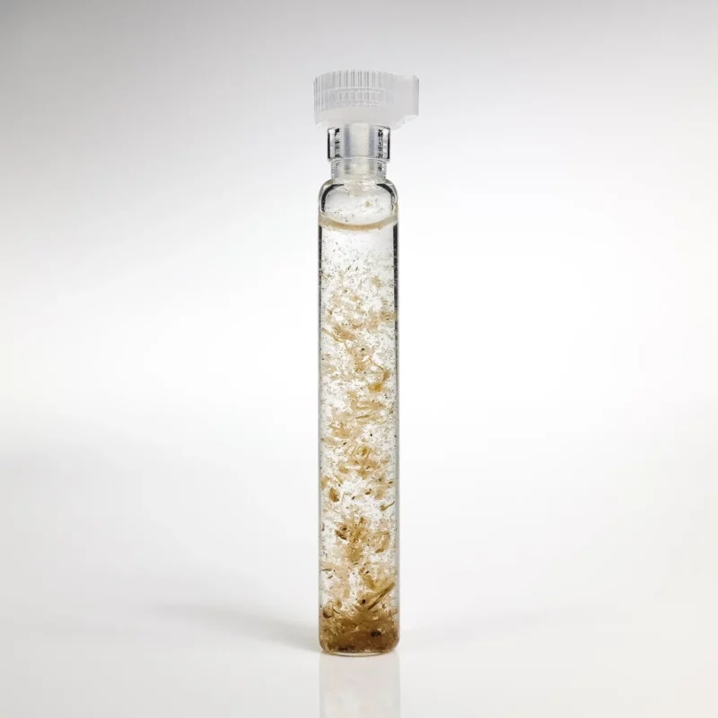 Zioła Szwedzkie GANS